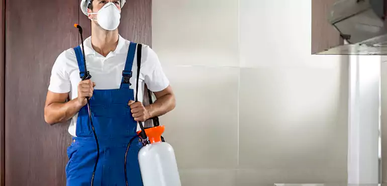 Why Albuquerque Homeowners Choose Us When Pests Make Selling Difficult