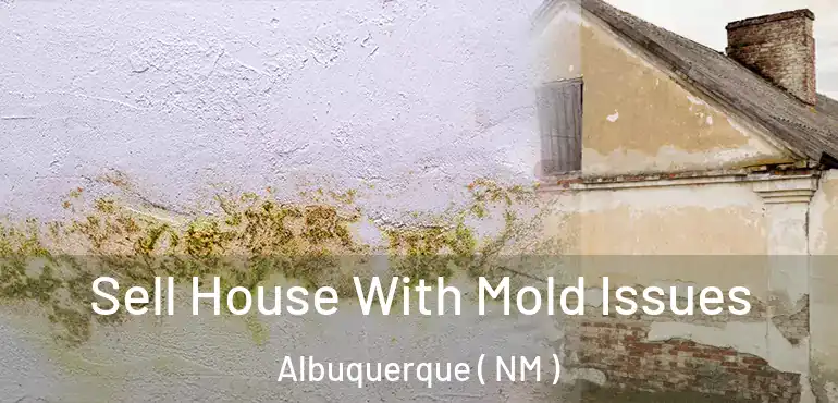  Sell House With Mold Issues Albuquerque ( NM )